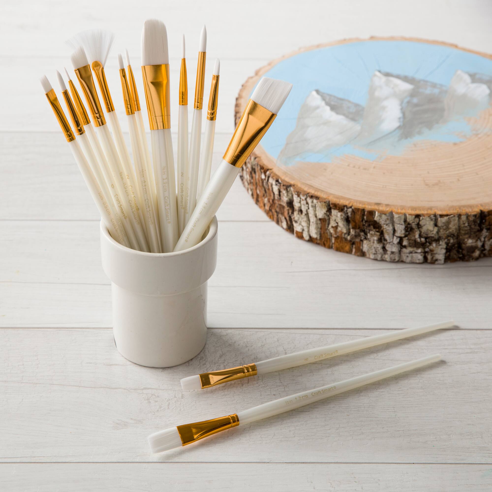 White Taklon 15 Piece Brush Pack by Craft Smart®